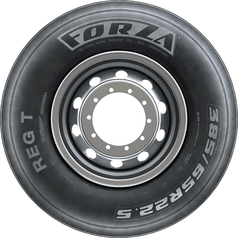 FORZA REG T в Моршанске — KAMA TYRES FORZA REG T в Моршанске
